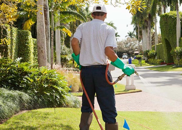 About Keewatin MN Pest Control